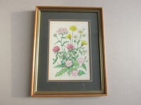 Image 1 of Vintage Flowers Watercolour Painting by Patience Arnold, Small Original Artwork c 1980s, Framed 