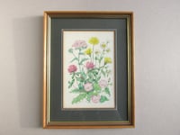 Image 2 of Vintage Flowers Watercolour Painting by Patience Arnold, Small Original Artwork c 1980s, Framed 