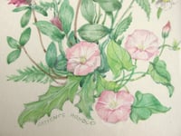 Image 5 of Vintage Flowers Watercolour Painting by Patience Arnold, Small Original Artwork c 1980s, Framed 