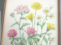 Image 6 of Vintage Flowers Watercolour Painting by Patience Arnold, Small Original Artwork c 1980s, Framed 