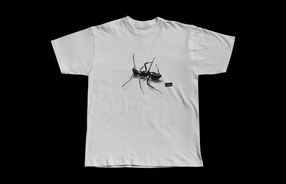 Image of GAZZELLE | T-SHIRT INDI
