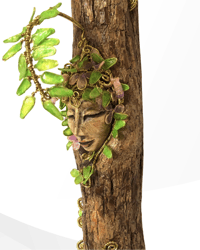 Image 4 of Flora