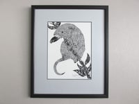 Image 1 of Vintage Bamboo Rat Art Print by Joe Blyth Bryant? Signed Ltd Edition 1990s, Framed