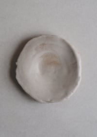 Image 1 of assiette1