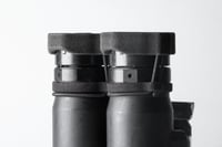 Image 3 of The FLAPNODS 