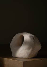 Image 4 of ARCHE