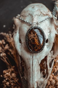 Image 1 of Rodent Skull and Lichen necklace