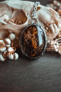 Image 2 of Rodent Skull and Lichen necklace