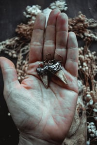 Image 4 of Coffin Bone earrings