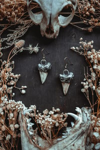 Image 1 of Coffin Bone earrings