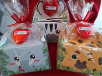 Valentine "you drive me wild" jungle boxes