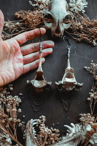 Image 5 of Silver Capped Deer Vertebra ear hangers