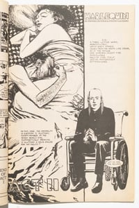 Image 3 of Harlequin by Stefano Gaudiano and Steve Csutoras