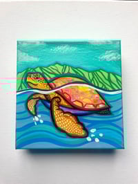 Rainbow Honu