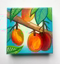Under the Mango Tree