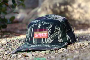 Image of TIGER STRIPE