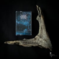 Image 3 of Alder Glade - Holocene Extinction / CS