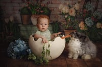 Image 5 of Easter Mini Session Deposit 2025