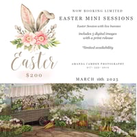 Image 1 of Easter Mini Session Deposit 2025