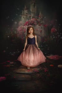 Image 2 of Fairy Tale Mini Deposit February 2025