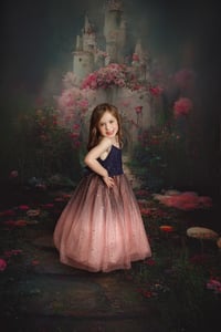 Image 3 of Fairy Tale Mini Deposit February 2025