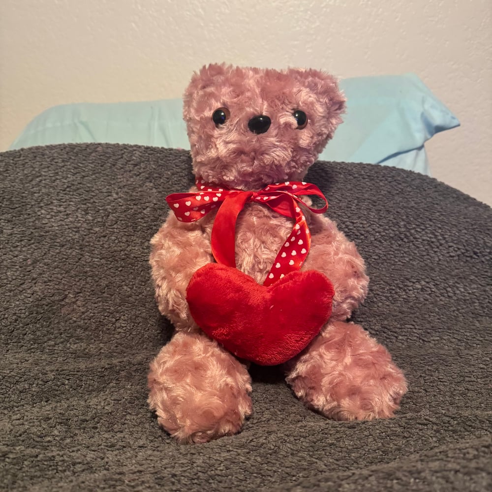 Image of Valentine’s Day Bears (variants)