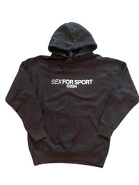 Image 1 of Sample Hoodie 2