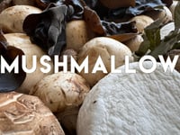 Image 3 of Mushmallow - 30ml