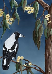 Image 1 of "Melba" the Magpie Print