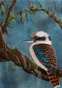 Image 1 of "Koda" the Kookaburra Print