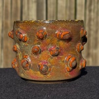 Image 1 of Earthy Amoeba Cup 1