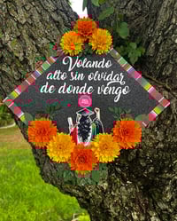 MEX GRAD TOPPER