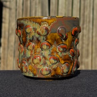 Image 1 of Amoeba Cup 5