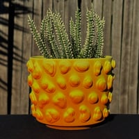 Image 1 of Orange Amoeba Planter 1