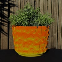 Image 1 of Orange Amoeba Planter 2