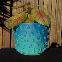 Image 1 of Blue Amoeba Planter 1