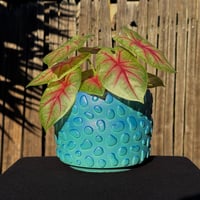 Image 1 of Blue Amoeba Planter 2