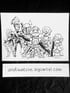 Star Wars  Image 2