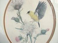 Image 2 of Goldfinch and Thistles by Martin Glen Loates 1976, Vintage Bird Art Print, Framed