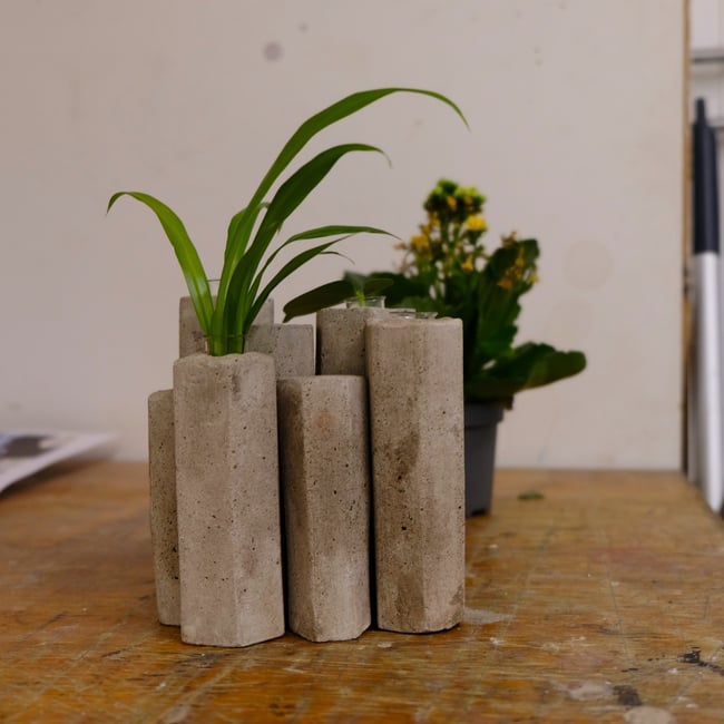 Finn's Plant Propagator