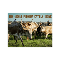 The Great Florida Cattle Drive Book