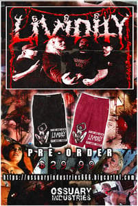 Image of LIVIDITY - It's Not About Satan Shorts. Pre order