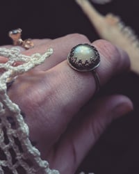 Image 5 of White Moonstone rings