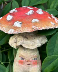 Image 2 of Grumpy Mushroom