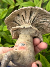 Image 5 of Grumpy Mushroom