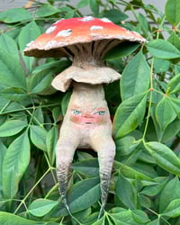Image 1 of Grumpy Mushroom