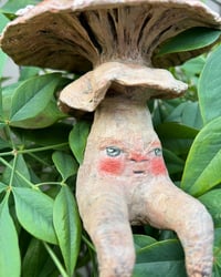 Image 4 of Grumpy Mushroom