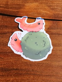 Image 1 of Shrimp Sticker