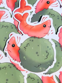 Image 2 of Shrimp Sticker