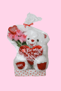 Image 2 of 2025 Valentine's Day Monchichi Osito Painting